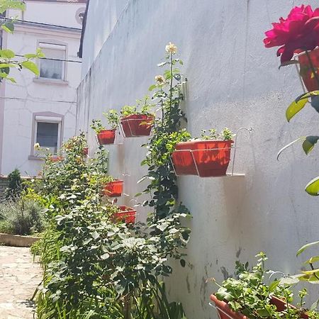 Garden Apartments Belgrád Kültér fotó