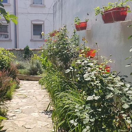 Garden Apartments Belgrád Kültér fotó