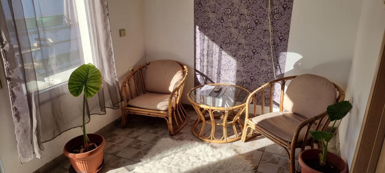 Garden Apartments Belgrád Kültér fotó